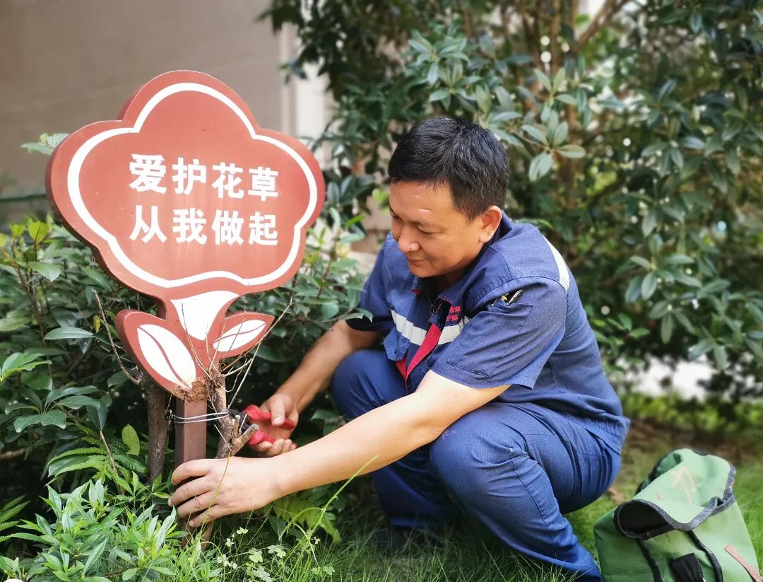 江安 (1).jpg 圖片